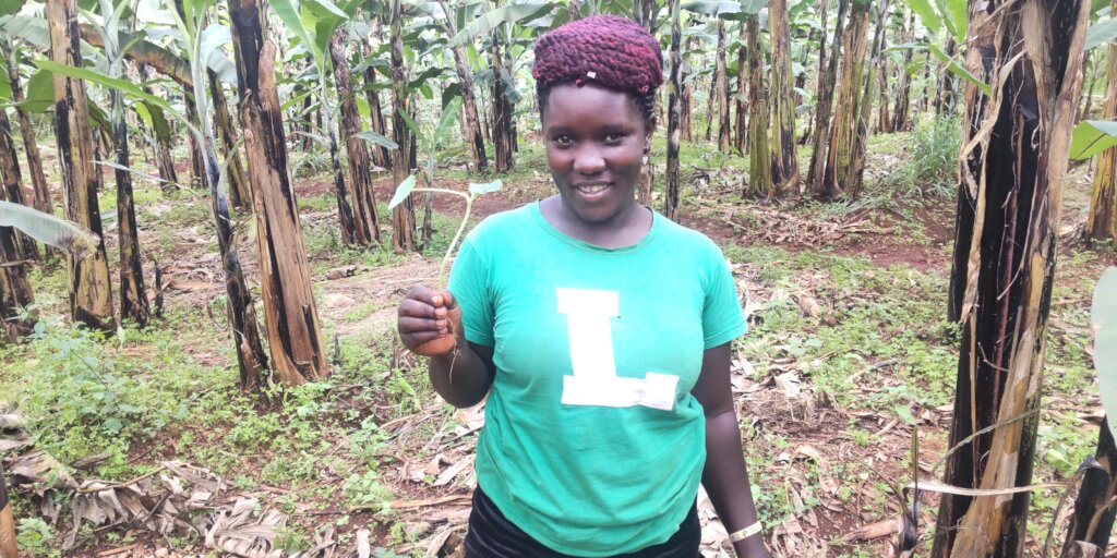 Reducing Food Insecurity through Vegetable Farming