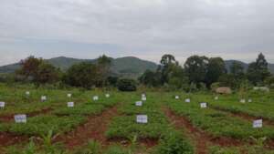 Better farming practices
