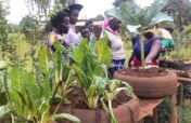 Reducing Food Insecurity through Vegetable Farming