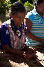 Entrepreneur with cacao seeds