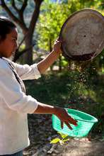 Woman handling cacao seeds
