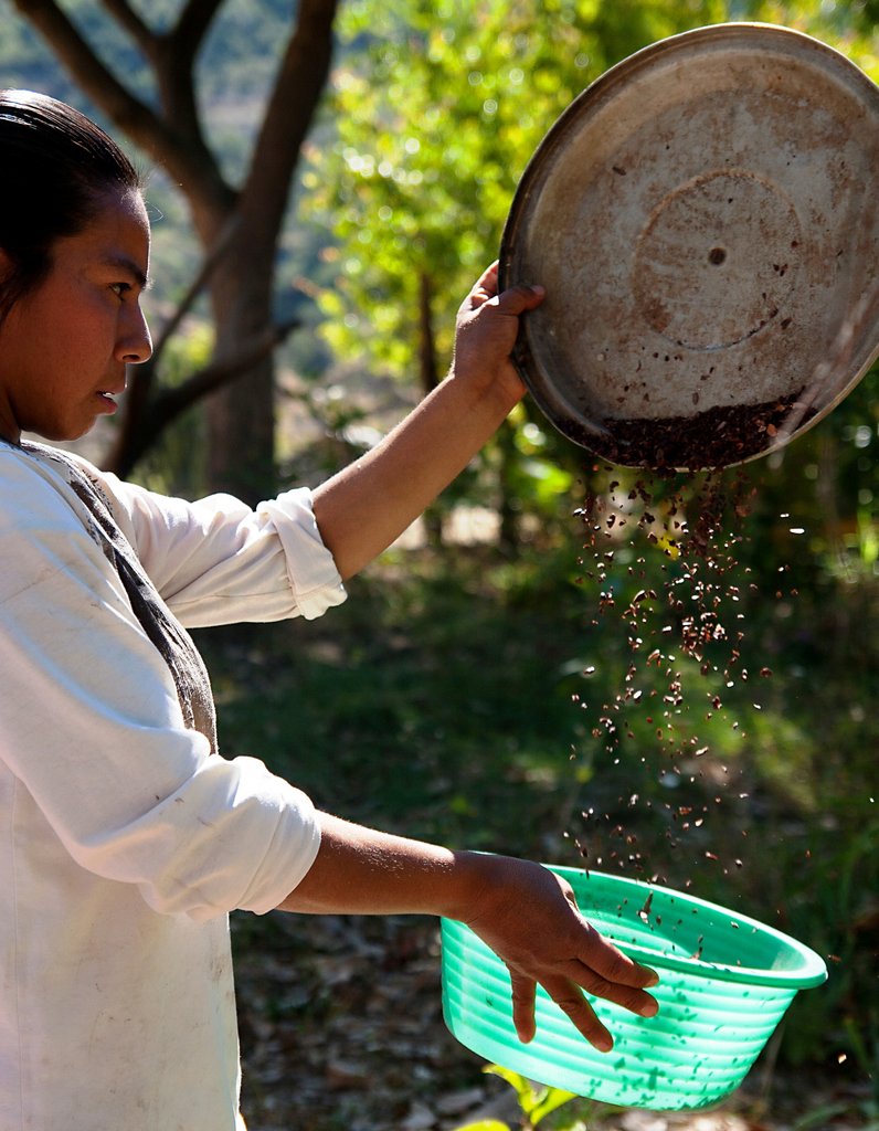 Support indigenous women to market their products