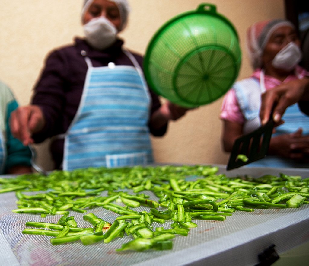 Support indigenous women to market their products