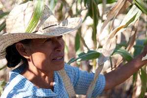 Support indigenous women to market their products
