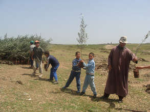 Youth helping with olive trees