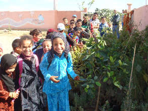 Kids plant trees in their school yard