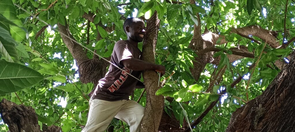 Tiko needs power to keep reporting and teaching