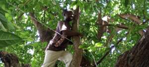 Working on the network in Tiko with a smile