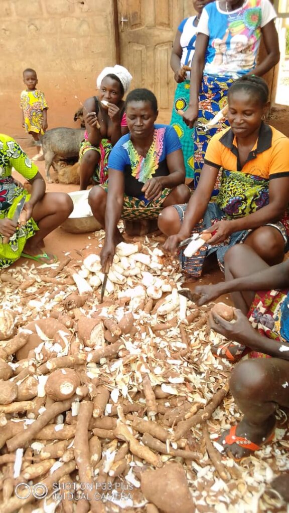 Help Change the Lives of 277 Rural Women in Couffo