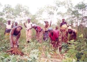 Help Change the Lives of 277 Rural Women in Couffo