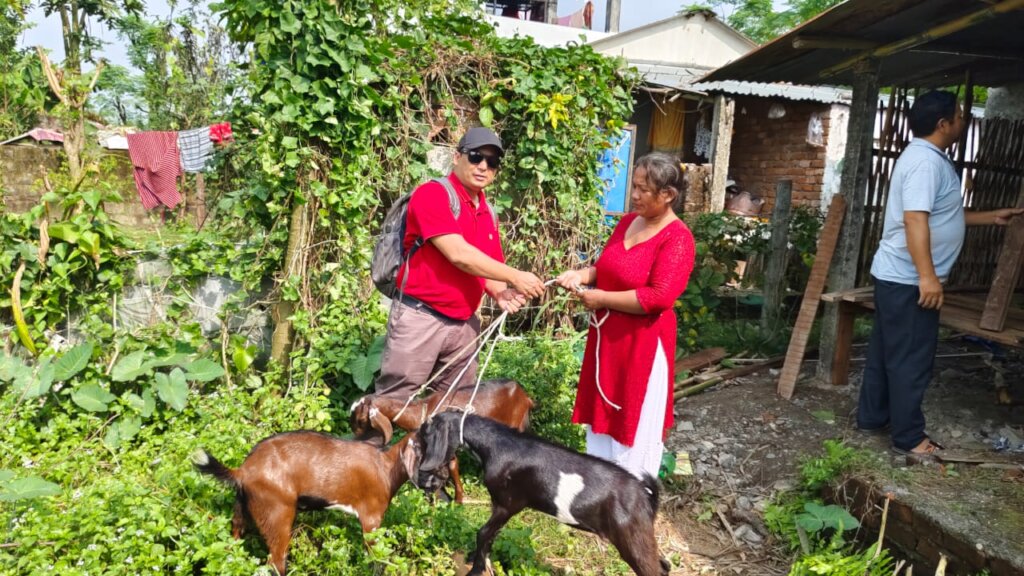 Mamata and her goats