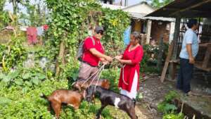Mamata and her goats
