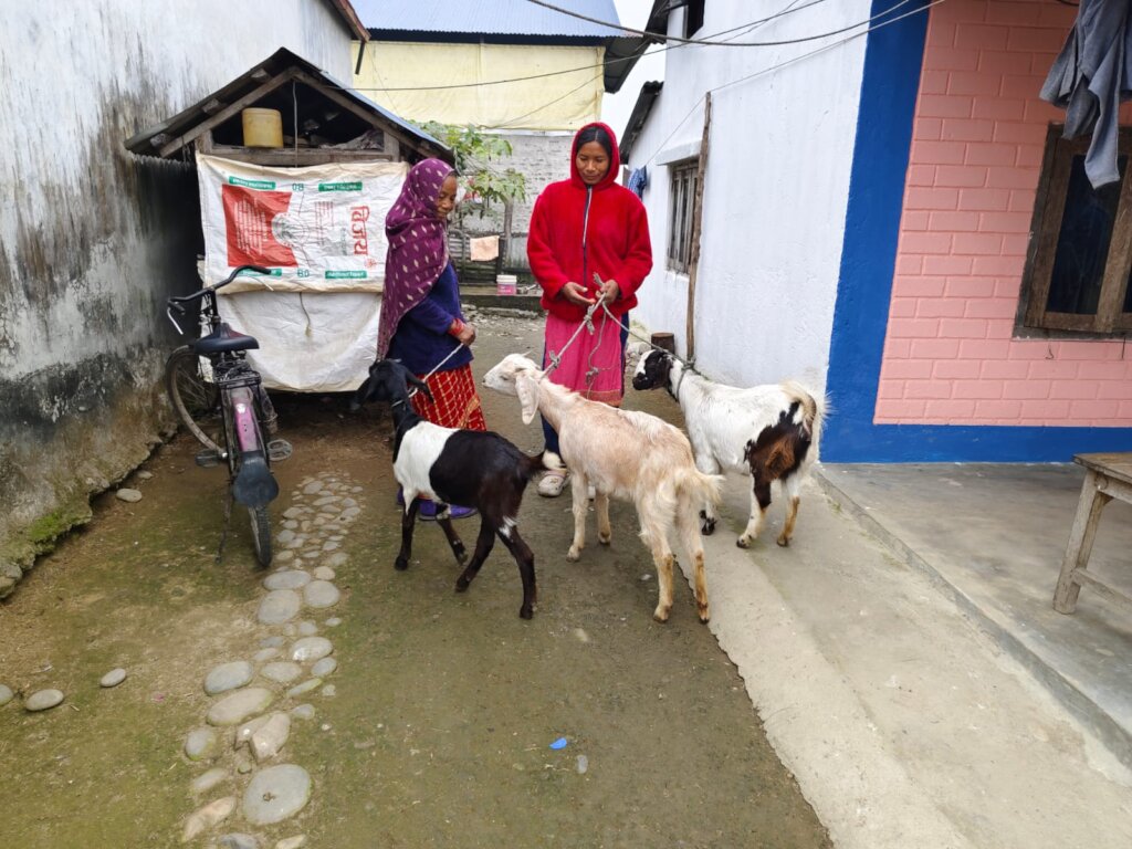 Empower Communities In Nepal through Goat Farming