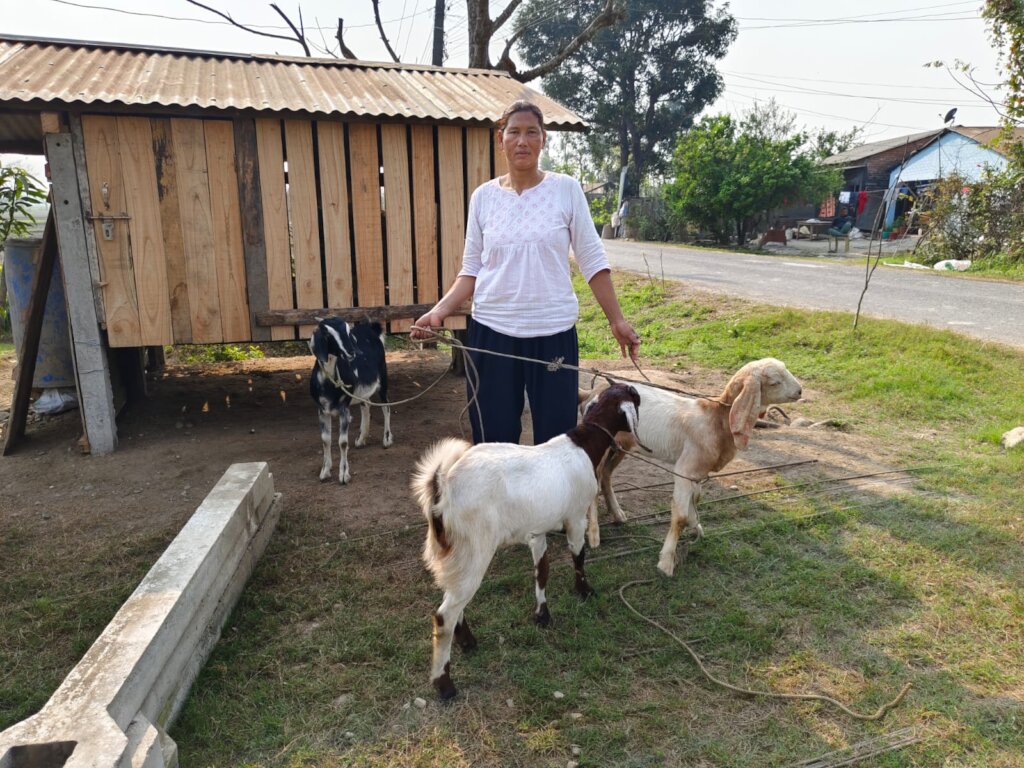 Empower Communities In Nepal through Goat Farming
