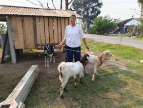 Sita Chaudhary with her goats