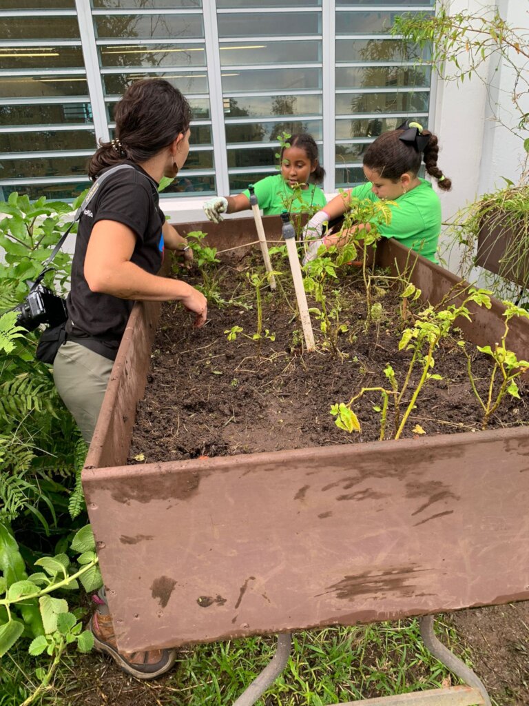 Cultivate Sustainability: Composting in 20 Schools