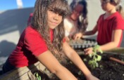 Cultivate Sustainability: Composting in 20 Schools