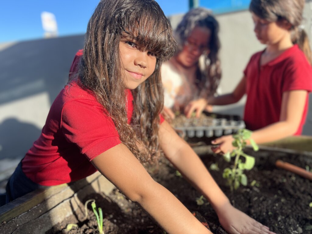 Cultivate Sustainability: Composting in 20 Schools
