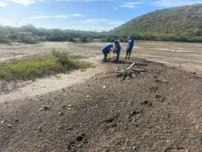 Preparing area for planting