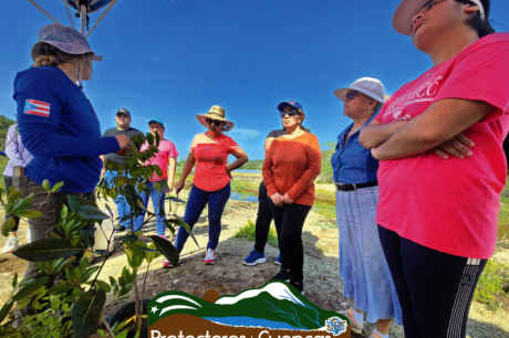 Papayo Coastal Lagoon Wetland Rehabilitation