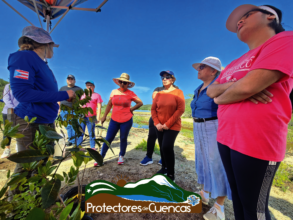 Papayo Coastal Lagoon Wetland Rehabilitation