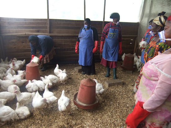 Help 300 Women in Bamenda Affected by Crisis
