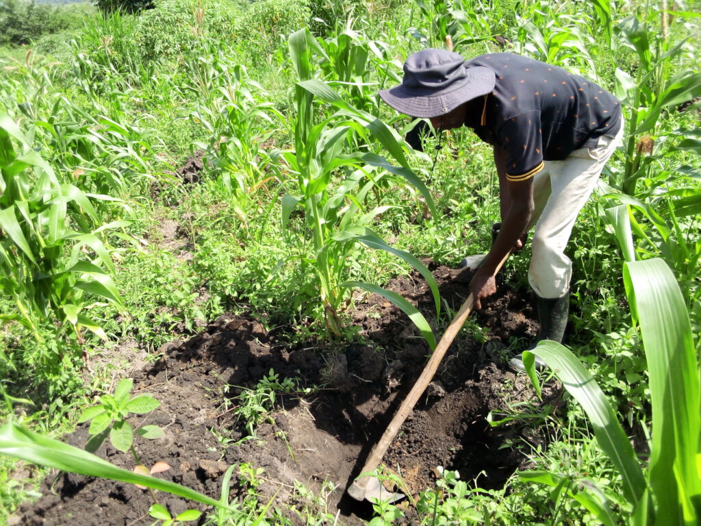 Provide Coffee Seeds To 120 Farmers To End Poverty