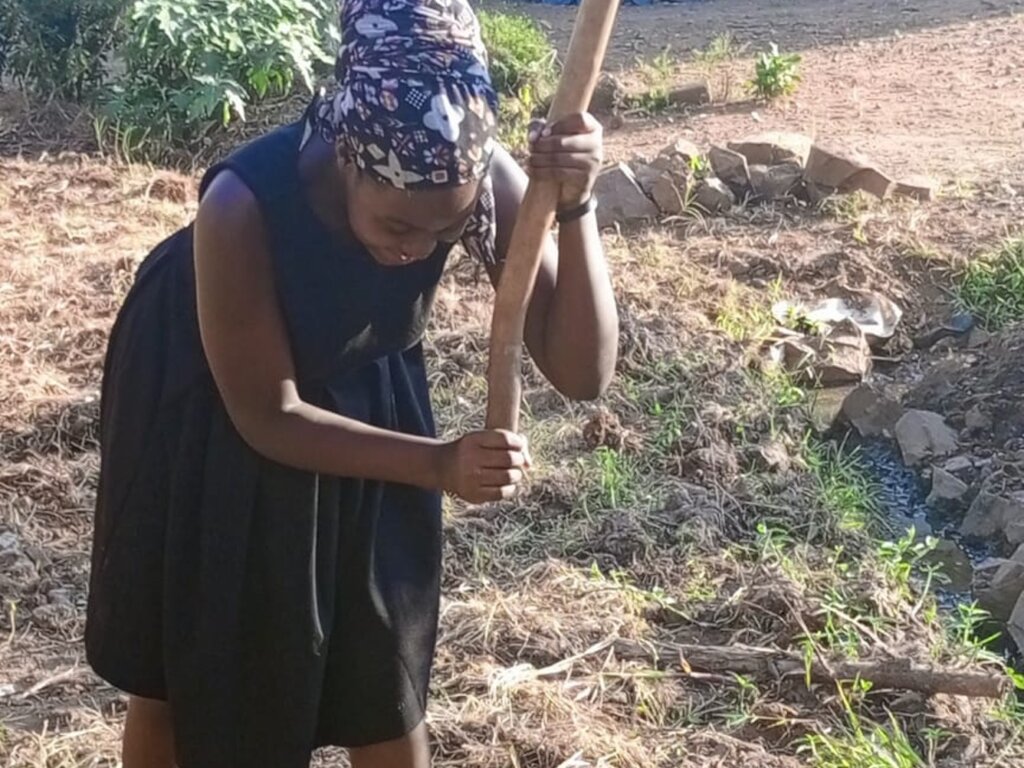 Provide Coffee Seeds To 120 Farmers To End Poverty