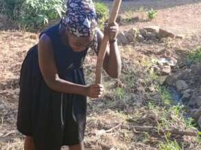 Engaging youth /students to gain skills in farming