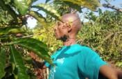 Provide Coffee Seeds To 120 Farmers To End Poverty
