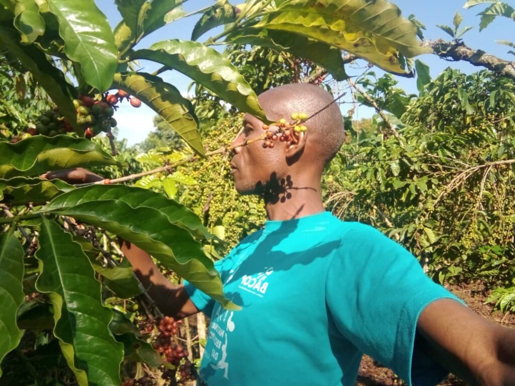 Provide Coffee Seeds To 120 Farmers To End Poverty