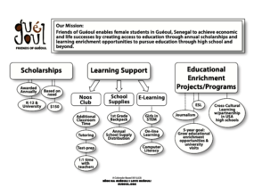 FoG's program and mission