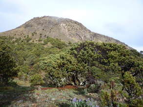 The Tajumulco Volcano