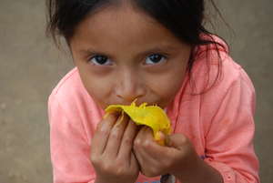 Fruit for malnourished kids