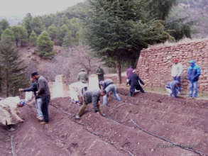 Installation of a Drip-Irrigation System