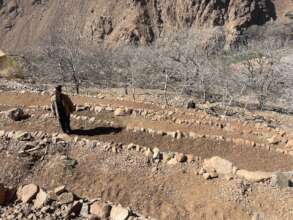 Newly constructed terraces in Missour Village