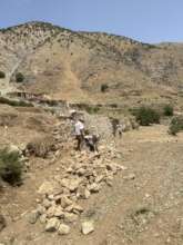 Restoring agricultural terraces for livelihoods