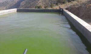 Irrigation basins remains a critical need