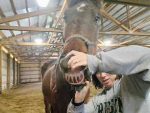 Such a good boy about showing us his chops