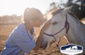 Sound Equine Options Veterinary Care Fundraiser