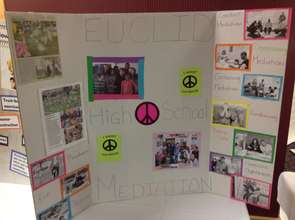 Youth bringing mediation to their high schools.