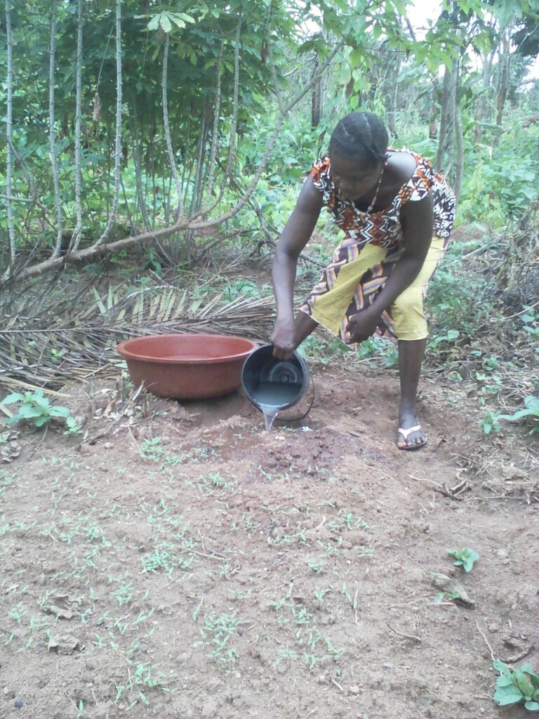 Seeds of Change: Help 5,000 Farmers in Ivory Coast