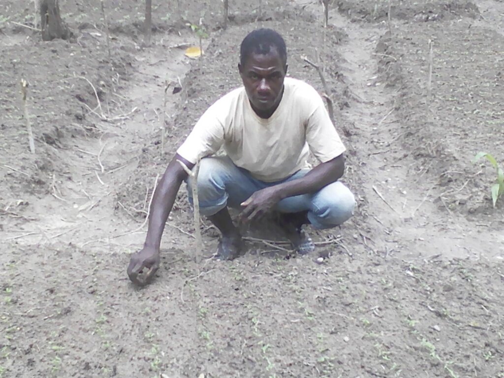 Seeds of Change: Help 5,000 Farmers in Ivory Coast