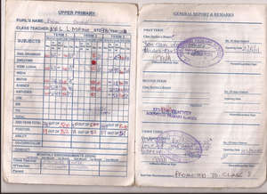Brian's Report Card