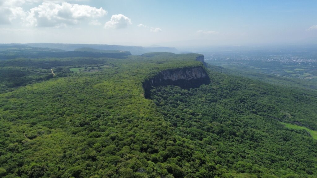 Helps reforest Guanacastle Park after fires