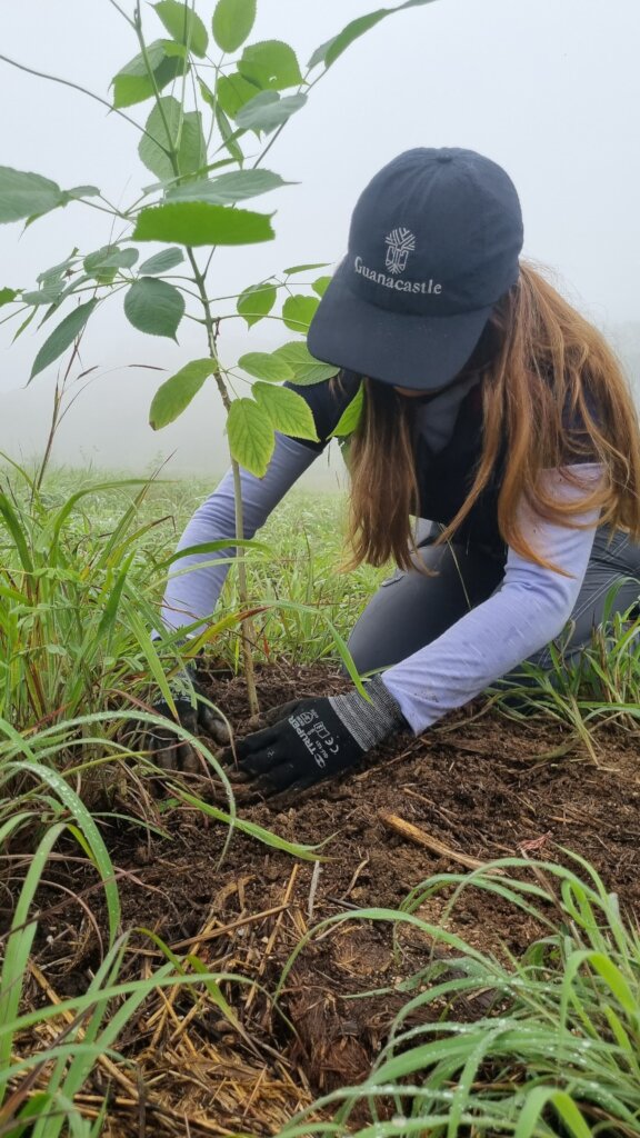 Helps reforest Guanacastle Park after fires