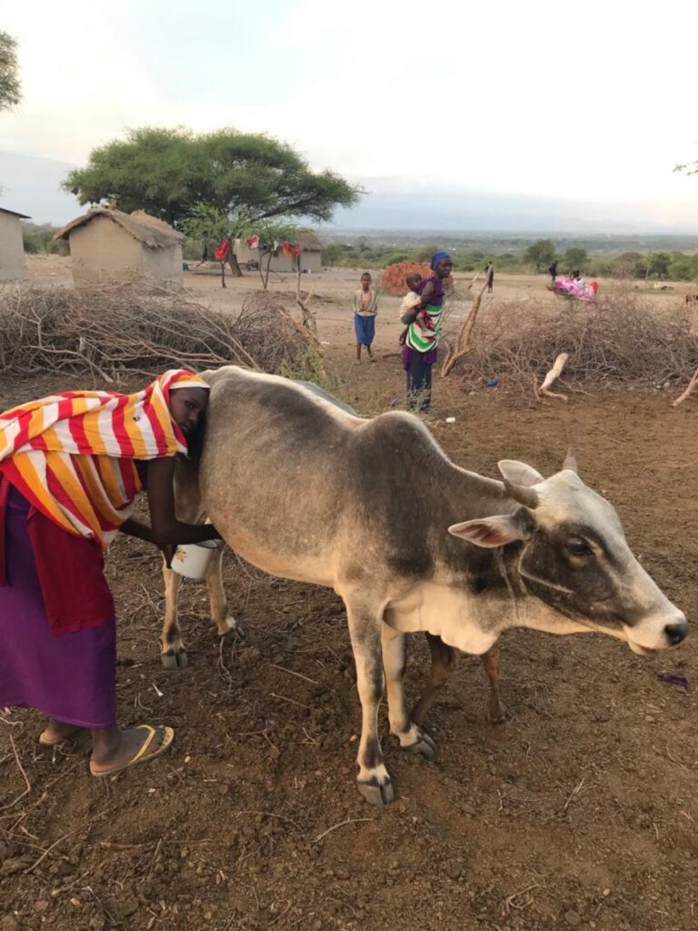 Educate and Empower 5000 Masai Girls in Tanzania