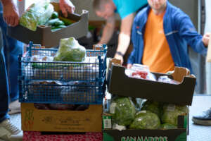 Delivering saved food