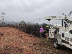 Ineligible Debris Removal