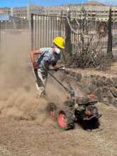 Ineligible Debris Removal